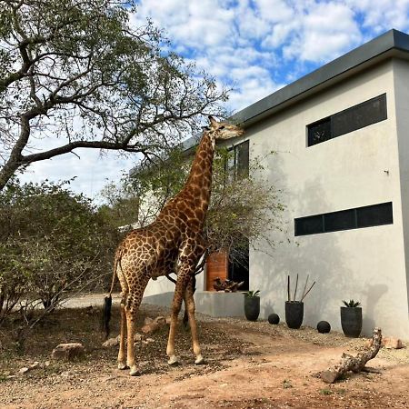 Birdsong Kruger Villa Marloth Park Esterno foto