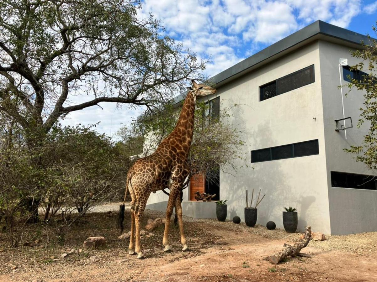 Birdsong Kruger Villa Marloth Park Esterno foto